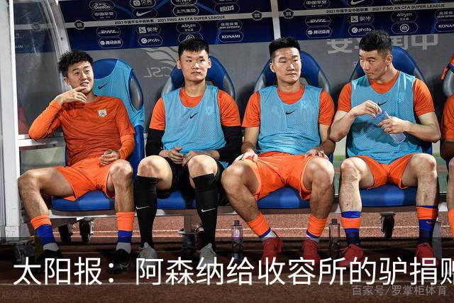 太阳报：阿森纳给收容所的驴捐赠40双球袜，保护它们腿部免受感染